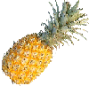 Pineapple.gif