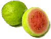 guava.gif